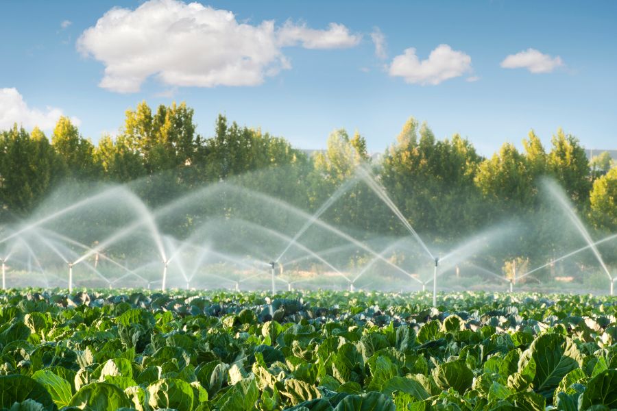 Irrigation